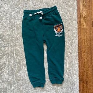 H&M Tiger Sweatpants for Baby Boy
